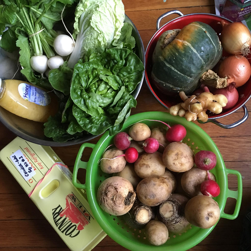 Pittsburgh CSA Delivery